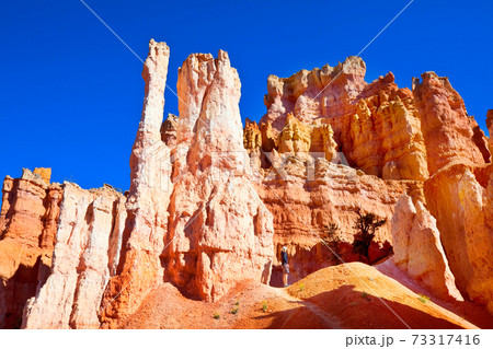 Bryce 73317416