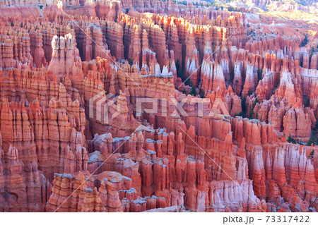 Bryce 73317422