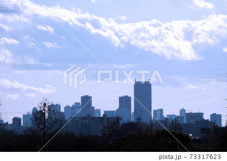 公園から遠くに見える高層ビル群 青空の写真素材