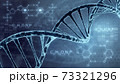 DNA double helix illustration. Human DNA spiral formed from nucleotide molecules. Perfect to use as a background for science, biotechnology or genetics. Blue version. 3D rendering 73321296