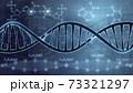 DNA double helix illustration. Human DNA spiral formed from nucleotide molecules. Perfect to use as a background for science, biotechnology or genetics. Blue version. 3D rendering 73321297