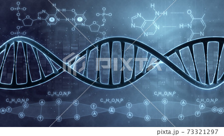 DNA double helix illustration. Human DNA spiral formed from nucleotide molecules. Perfect to use as a background for science, biotechnology or genetics. Blue version. 3D rendering 73321297