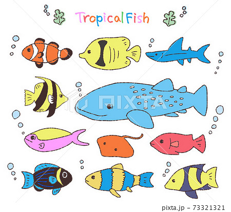 最も好ましい 熱帯魚 画像 熱帯魚 画像解析 Wynellnolley