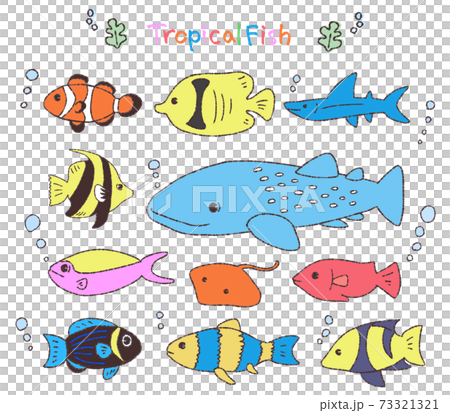 熱帯魚のセット手書きイラストのイラスト素材 熱帯魚のセット手書きイラストのイラスト素材