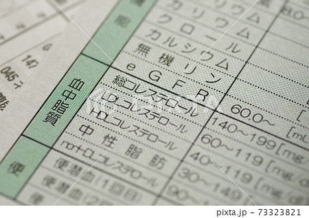 血中脂質（コレステロール、中性脂肪） 73323821