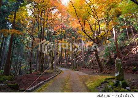 京都 大原 古知谷阿弥陀寺(こちだにあみだじ)の紅葉 京都 大原 古知谷阿弥陀寺(こちだにあみだじ)の紅葉 73323876