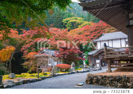 京都 大原 古知谷阿弥陀寺(こちだにあみだじ)の紅葉 京都 大原 古知谷阿弥陀寺(こちだにあみだじ)の紅葉 73323878