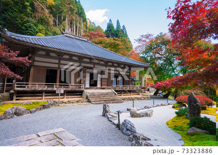京都 大原 古知谷阿弥陀寺(こちだにあみだじ)の紅葉 京都 大原 古知谷阿弥陀寺(こちだにあみだじ)の紅葉 73323886