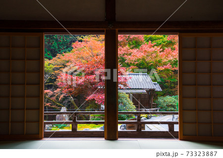 京都　大原　古知谷阿弥陀寺（こちだにあみだじ）の紅葉 73323887