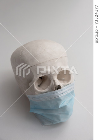Medical skull, human head, bones 73324177