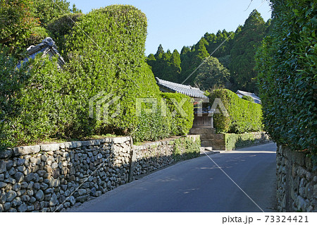 知覧の武家屋敷　鹿児島県 73324421