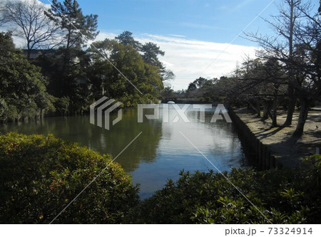 桑名市にある桑名城址九華公園の風景 桑名市にある桑名城址九華公園の風景 73324914