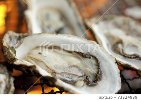 炭火で焼く牡蛎 73324939
