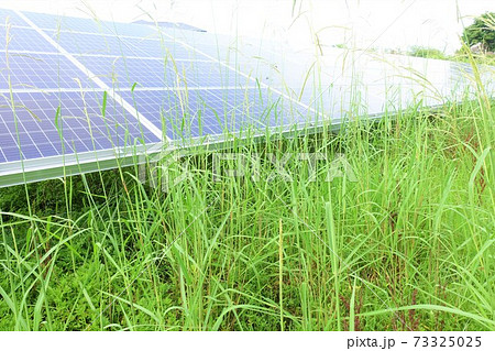 太陽光発電所 雑草 影響 影 太陽光発電所 雑草 影響 影 73325025