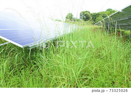 太陽光発電所　雑草　影響　影 73325026