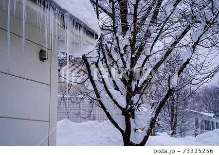 雪国の積雪 73325256
