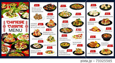 China food dishes Chinese cuisine vector meal menu 73325505