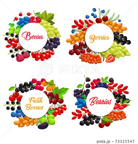 Cartoon berries vector round frames or banners set 73325547