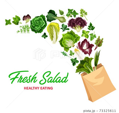 Greenery salads and greens in vector shopping bag Greenery salads and greens in vector shopping bag 73325611