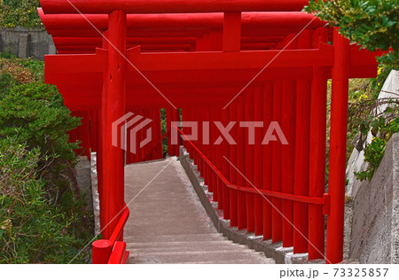 山口県　元乃隅神社 73325857