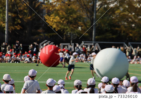 小学校運動会の紅白大玉転がし 小学校運動会の紅白大玉転がし 73326010