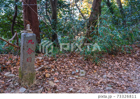 冬の林道　登山道　イメージ 73326811