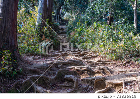 冬の林道　登山道　イメージ 73326819