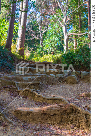 冬の林道 登山道 イメージ 冬の林道 登山道 イメージ 73326820