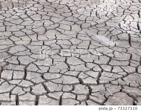 Barren ground horizontal Barren ground horizontal 73327310