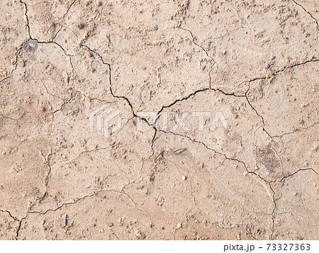 Barren ground horizontal 73327363
