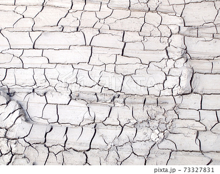 Barren ground horizontal 73327831