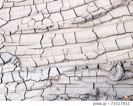 Barren ground horizontal Barren ground horizontal 73327832