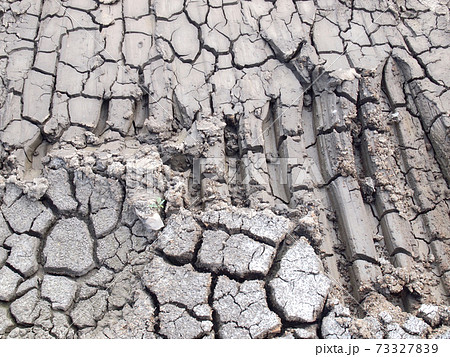Barren ground horizontal Barren ground horizontal 73327839