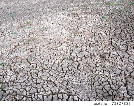 Barren ground horizontal 73327852