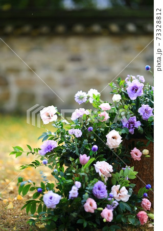 バラの花 花 バラ 73328812