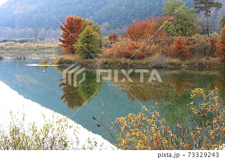 湖 秋 森林 73329243