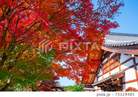 京都 大徳寺の塔頭寺院 興臨院の紅葉 の写真素材