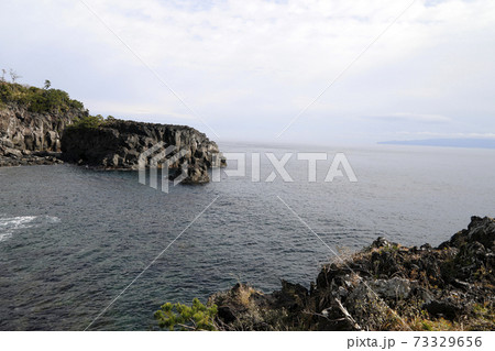 ジオサイト城ケ崎の柱状節理 73329656