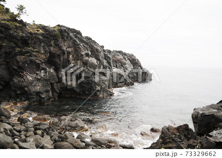ジオサイト城ケ崎の柱状節理 ジオサイト城ケ崎の柱状節理 73329662