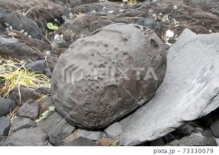 溶岩いろいろ ジオサイト城ケ崎 溶岩いろいろ ジオサイト城ケ崎 73330079