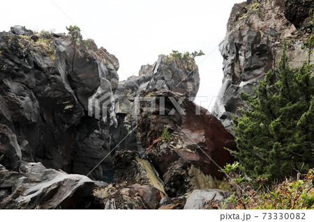 溶岩いろいろ ジオサイト城ケ崎 溶岩いろいろ ジオサイト城ケ崎 73330082