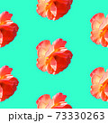 Seamless pattern with roses on a turquoise background 73330263