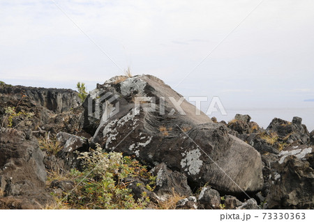 溶岩いろいろ ジオサイト城ケ崎 溶岩いろいろ ジオサイト城ケ崎 73330363