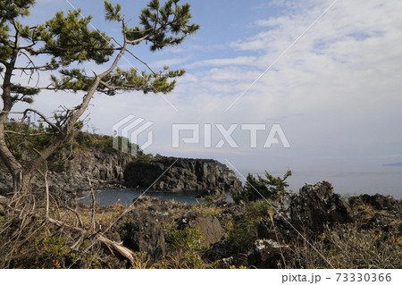 溶岩いろいろ　ジオサイト城ケ崎 73330366