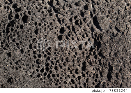 打ち寄せる波しぶきで穴状に窪んだ岩の表面 73331244