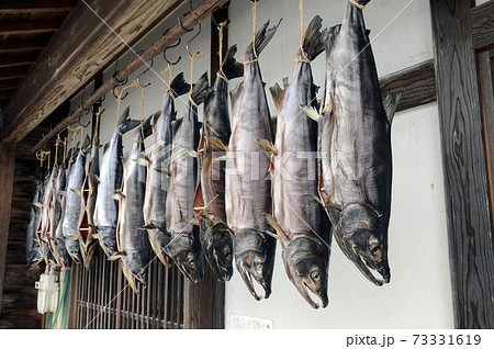 吊るされた鮭 の写真素材 [73331619] - PIXTA
