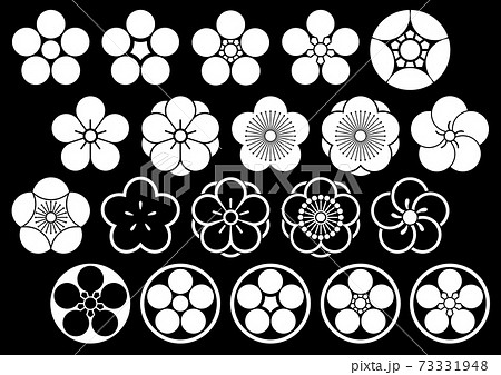 梅紋 73331948