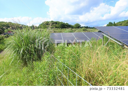 雑草に覆われ発電に悪影響が出ている太陽光発電所 雑草に覆われ発電に悪影響が出ている太陽光発電所 73332481