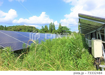 雑草に覆われ発電に悪影響が出ている太陽光発電所 73332484
