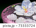 水面に浮かぶ桜の花びら 73333724